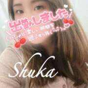 ヒメ日記 2025/11/25 14:51 投稿 しゅうか 西船人妻花壇