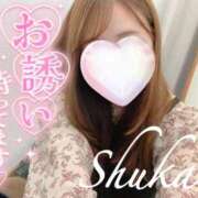 ヒメ日記 2025/11/26 15:18 投稿 しゅうか 西船人妻花壇