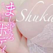 ヒメ日記 2025/11/26 18:33 投稿 しゅうか 西船人妻花壇