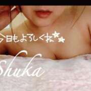 ヒメ日記 2025/12/10 12:07 投稿 しゅうか 西船人妻花壇