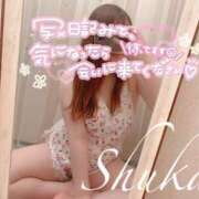 ヒメ日記 2026/04/06 08:11 投稿 しゅうか 西船人妻花壇