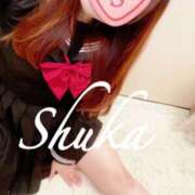 ヒメ日記 2026/04/06 18:12 投稿 しゅうか 西船人妻花壇