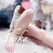 ヒメ日記 2026/04/08 22:34 投稿 しゅうか 西船人妻花壇