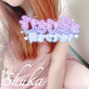 ヒメ日記 2026/04/11 20:38 投稿 しゅうか 西船人妻花壇