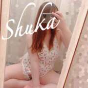 ヒメ日記 2026/04/12 03:35 投稿 しゅうか 西船人妻花壇