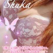 ヒメ日記 2026/04/12 15:21 投稿 しゅうか 西船人妻花壇