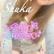 ヒメ日記 2026/04/17 01:09 投稿 しゅうか 西船人妻花壇