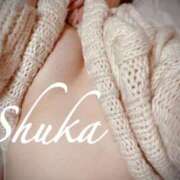 ヒメ日記 2026/04/23 12:45 投稿 しゅうか 西船人妻花壇