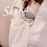 ヒメ日記 2026/05/08 19:55 投稿 しゅうか 西船人妻花壇