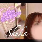 ヒメ日記 2026/05/12 21:46 投稿 しゅうか 西船人妻花壇