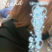 ヒメ日記 2026/05/22 12:18 投稿 しゅうか 西船人妻花壇