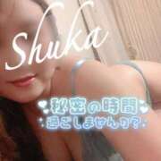 ヒメ日記 2026/06/30 10:22 投稿 しゅうか 西船人妻花壇