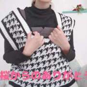 ヒメ日記 2025/02/22 02:31 投稿 美桜（みお） DIVA-ディーバ-【DIVAグループ】