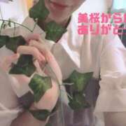 ヒメ日記 2025/08/27 01:47 投稿 美桜（みお） DIVA-ディーバ-【DIVAグループ】