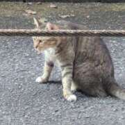 ヒメ日記 2025/08/28 10:45 投稿 美桜（みお） DIVA-ディーバ-【DIVAグループ】