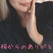 ヒメ日記 2025/11/28 17:46 投稿 美桜（みお） DIVA-ディーバ-【DIVAグループ】