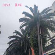 ヒメ日記 2026/04/26 10:39 投稿 美桜（みお） DIVA-ディーバ-【DIVAグループ】