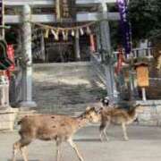 ヒメ日記 2024/05/06 23:01 投稿 ミミ マドンナ(仙台)