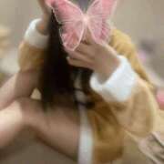 ヒメ日記 2024/12/23 13:03 投稿 ミミ マドンナ(仙台)