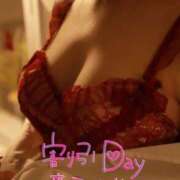 ヒメ日記 2024/12/23 13:30 投稿 ミミ マドンナ(仙台)