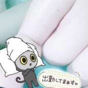 ヒメ日記 2025/01/18 22:15 投稿 ちえ ぷよラブむ～ぶめんと