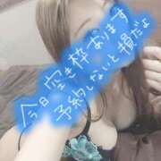 ヒメ日記 2025/05/04 07:24 投稿 まりあ チューリップ福井本館