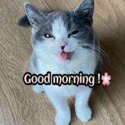 ヒメ日記 2025/04/10 08:32 投稿 あずさ ニューヨークニューヨーク