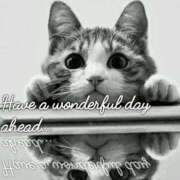 ヒメ日記 2025/04/22 07:36 投稿 あずさ ニューヨークニューヨーク