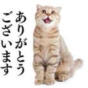 ヒメ日記 2025/08/14 19:05 投稿 あずさ ニューヨークニューヨーク