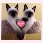 ヒメ日記 2025/12/30 23:14 投稿 あずさ ニューヨークニューヨーク