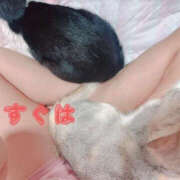 ヒメ日記 2025/08/18 08:04 投稿 すぐは YESグループ　華女