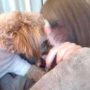 みるく 目指すべきもの‼️ 大阪はまちゃん 谷九店