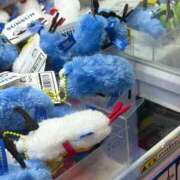 ヒメ日記 2026/03/01 21:02 投稿 みるく 大阪はまちゃん 谷九店