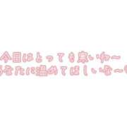 ヒメ日記 2025/12/29 19:20 投稿 Mrs.愛依（めい） 禁断のMrs.CLUB