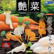 ヒメ日記 2024/12/16 03:02 投稿 のえる 奴隷コレクション