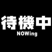 ヒメ日記 2024/12/19 14:48 投稿 のえる 奴隷コレクション
