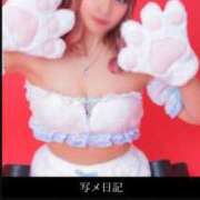 ヒメ日記 2025/05/04 15:54 投稿 のえる 奴隷コレクション