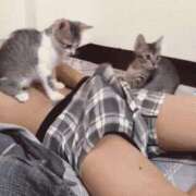 ヒメ日記 2025/05/08 08:31 投稿 のえる 奴隷コレクション