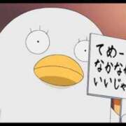 ヒメ日記 2025/05/20 22:32 投稿 のえる 奴隷コレクション