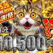 ヒメ日記 2025/05/25 12:50 投稿 のえる 奴隷コレクション