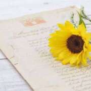 ヒメ日記 2025/06/10 02:51 投稿 のえる 奴隷コレクション