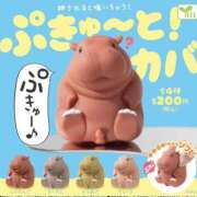 ヒメ日記 2025/06/10 08:01 投稿 のえる 奴隷コレクション