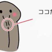 ヒメ日記 2025/06/10 19:11 投稿 のえる 奴隷コレクション