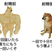 ヒメ日記 2025/06/16 02:51 投稿 のえる 奴隷コレクション