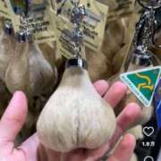 ヒメ日記 2025/06/22 03:11 投稿 のえる 奴隷コレクション