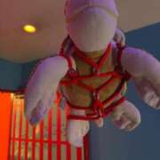 ヒメ日記 2025/07/12 21:30 投稿 のえる 奴隷コレクション