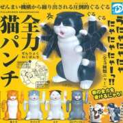 ヒメ日記 2025/08/05 21:11 投稿 のえる 奴隷コレクション