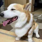 ヒメ日記 2025/08/19 01:12 投稿 のえる 奴隷コレクション