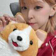 ヒメ日記 2025/09/17 14:47 投稿 のえる 奴隷コレクション