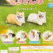 ヒメ日記 2025/10/01 15:02 投稿 のえる 奴隷コレクション